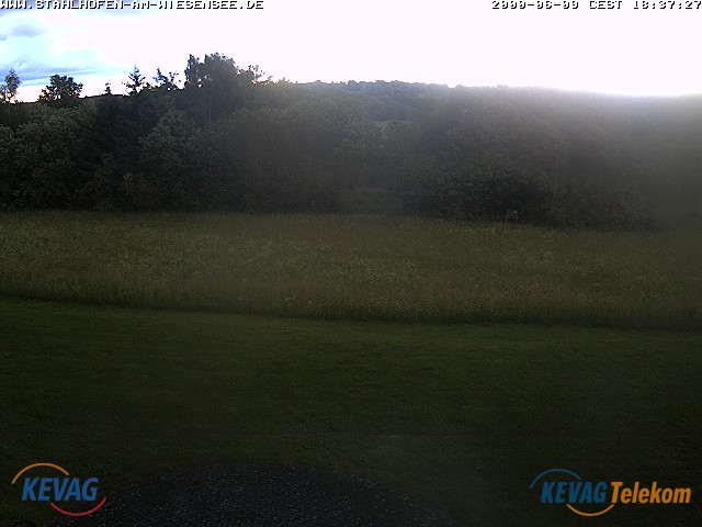 Live-Bild vom Wiesensee