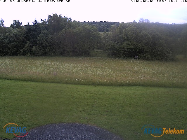 Live-Bild vom Wiesensee