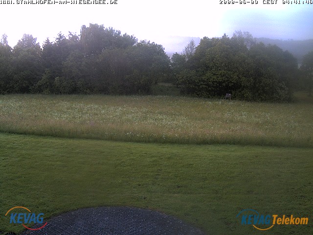 Live-Bild vom Wiesensee