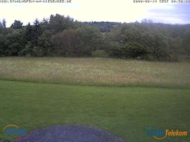 Live-Bild vom Wiesensee