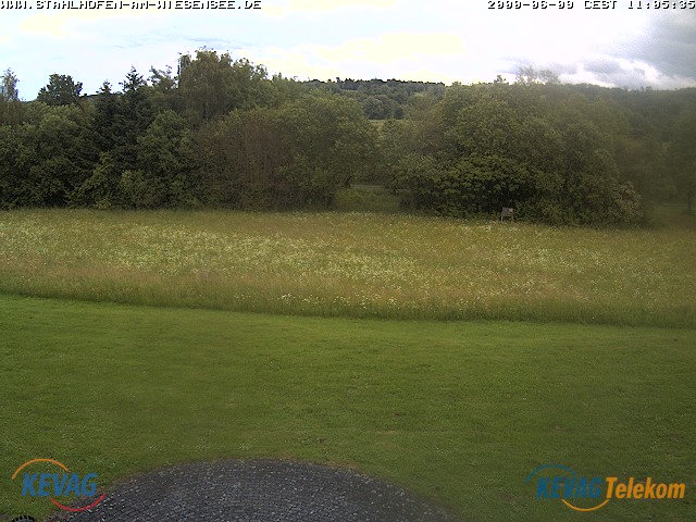 Live-Bild vom Wiesensee