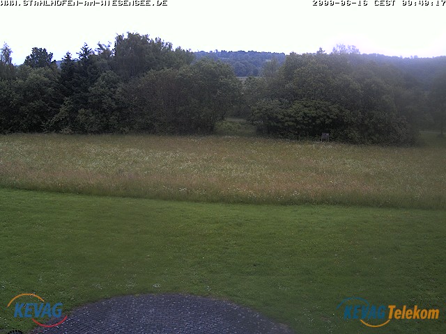 Live-Bild vom Wiesensee