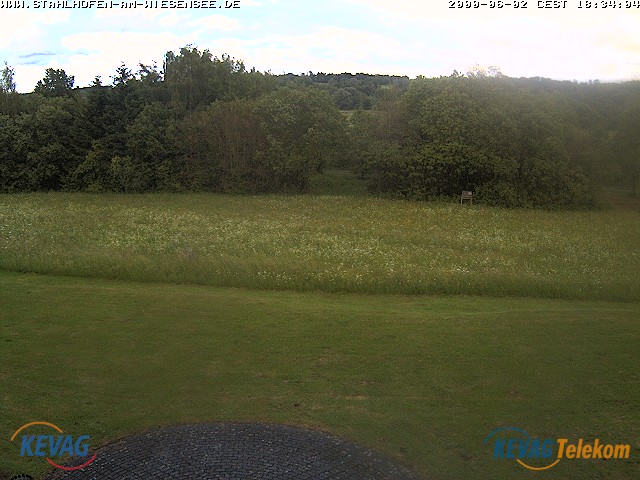 Live-Bild vom Wiesensee