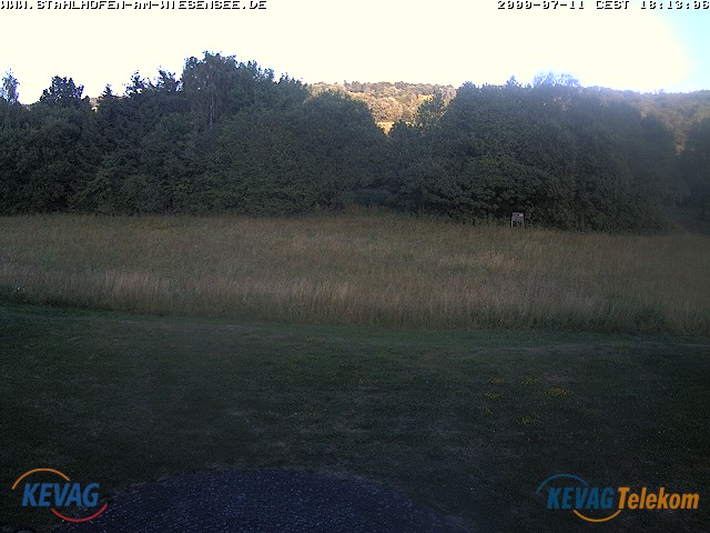 Live-Bild vom Wiesensee