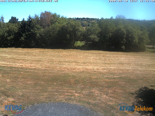 Live-Bild vom Wiesensee