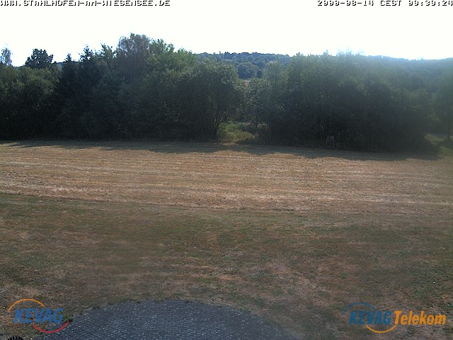 Live-Bild vom Wiesensee