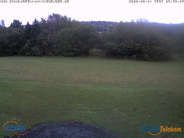 Live-Bild vom Wiesensee