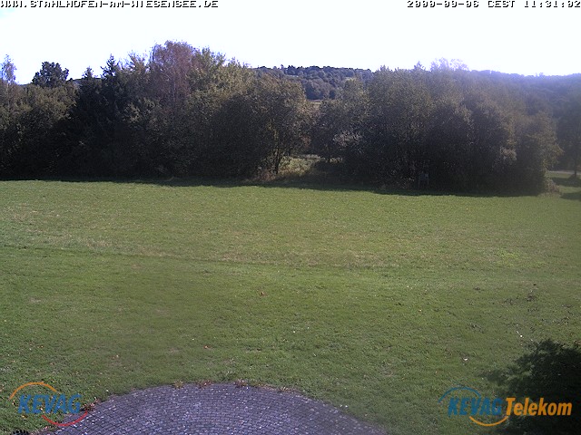 Live-Bild vom Wiesensee