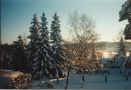 Stahlhofen am Wiesensee im Winter